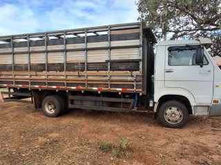 Caminhão Volkswagen 9.150 boiadeiro