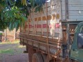caminhao-ford-f4000-ano-1986-na-gaiola-boiadeira-a-venda-araraquara-sp-small-5